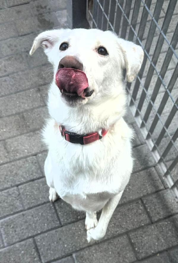 GENNA BELLISSIMA Foto 5